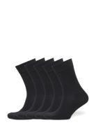 Bo.5P Crew Sock Frank Dandy Black