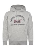 Printed Graphic Hoodie GANT Grey