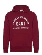 Printed Graphic Hoodie GANT Burgundy