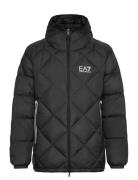 Down Jacket EA7 Black