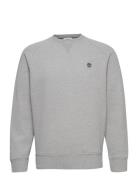 Brushed Back Crew Sweatshirt Timberland Grey