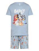 Pyjama Tee Shorts Bluey Lindex Patterned