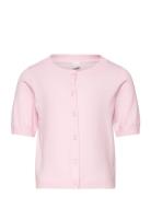 Cardigan Short Sleeve Basic Lindex Pink