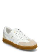 Achillea Dasia White