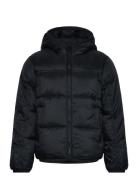 Hooded Jacket Champion Black