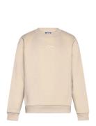 Jjjin Sweat Crew Neck Mni Jack & J S Beige