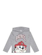 Tshirt Paw Patrol Grey
