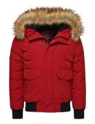 Everest Bomber Superdry Red