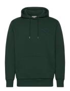 Reg Tonal Shield Hoodie GANT Green