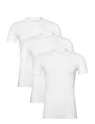 S/S Crew Neck 3Pk Calvin Klein White