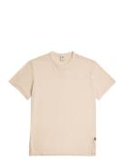 Nifous R T G-Star Cream