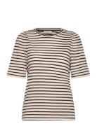 Fqeloisel-Tee FREE/QUENT Cream