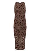 Leanna Dress Noella Brown