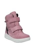 Urban Snowboarder ECCO Pink