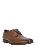 Howard Walk G Clarks Brown
