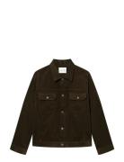 Wwtype 10 Jacket 25258 WOOD WOOD Brown