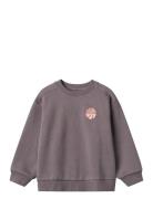 Sweatshirt L/S Ellis Wheat Purple