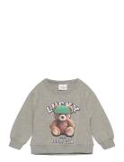 Tnstpippin Os Sweatshirt The New Grey