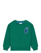 Tnstphineas Os Sweatshirt The New Green