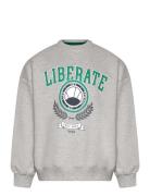 Tnpenno Os Sweatshirt The New Grey
