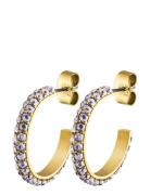 Hosta Sg Lavender Dyrberg/Kern Gold