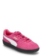 Palermo PUMA Pink