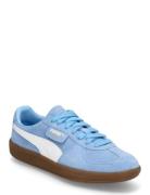 Palermo PUMA Blue