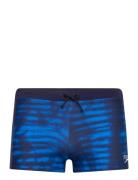 Mens Valmilton Aquashort Speedo Blue