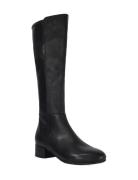 Tayla Dune London Black