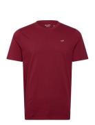 Icon Crew Knit T Shirt Hollister Burgundy