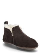 Innsbruck Axelda Brown