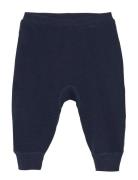 Harem Pants - Solid CeLaVi Navy