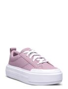 Ctas Cruise Ox Orchid Dust/White Converse Purple
