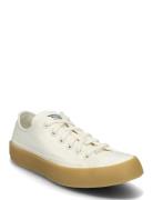 Ctas Ox Egret/Egret/Egret Converse Cream