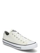 Ctas Ox Egret/Black/Coastal Dune Converse White