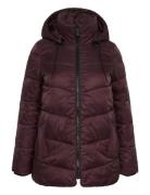 Kcsusanna Jacket Kaffe Curve Burgundy