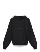 A- Logo Emb French Terry Po Hood Calvin Klein Black