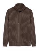 Sc-Siri Soyaconcept Brown