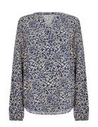 Sc-Van Soyaconcept Blue