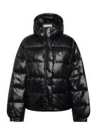 Shine Puffer Jacket Calvin Klein Jeans Black