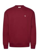 Ls Eu 350Terry Monogram Cn Swtsh Calvin Klein Jeans Red