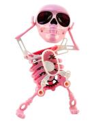 Halloween Windup Dancing Skeleton Magni Toys Pink