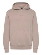 Micro Logo Hood Superdry Beige
