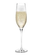 Cabernet Champagneglas 29 Cl 6 Stk. Holmegaard