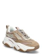 Possession-E Steve Madden White