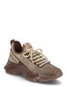 Mistica Steve Madden Brown