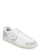 Pro Blaze Classic Ox White/Fossilized Converse White