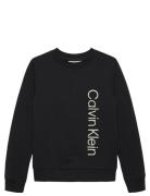 Terry Side Graphic Cn Sweatshirt Calvin Klein Black