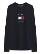 Linear Flag Graphic Ls Tee Tommy Hilfiger Navy
