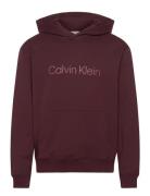 Ls Eu Standard Logo 350Terry Po Calvin Klein Burgundy